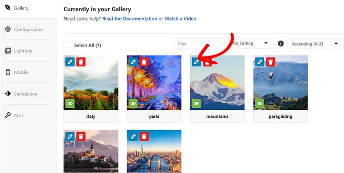 單擊鉛筆圖標以打開“編輯元數據”屏幕